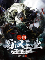 三国:蜀汉王业不偏安 小说
