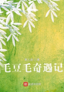 毛豆毛奇遇记作者简介