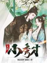 无敌小秀才怎么样好看吗