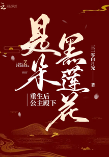 重生后公主殿下是朵黑莲花最新