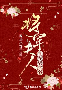 将军夫人又在装柔弱第几章成亲