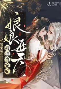 娘娘每天被迫当宠妃的小说