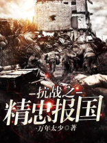 抗战之精忠报国无弹窗