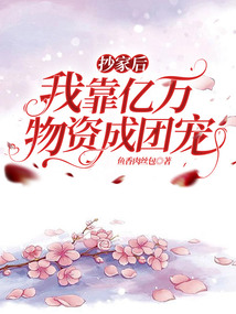 抄家后的种田生活 小说