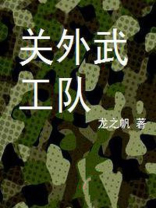 电视剧关外武工队免费观看