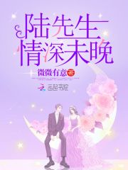 陆先生,情深未晚