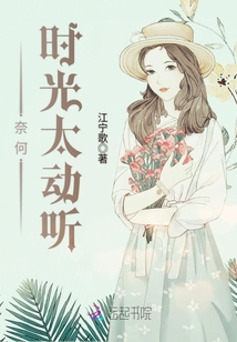 奈何时光太动听 小说