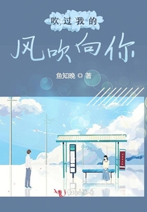 吹过我的风吹向你免费阅读小说全文