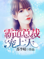 霸道总裁宠上天傅氏集团