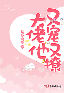 大佬他又宠又撩南冽