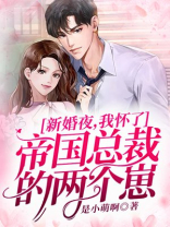 新婚夜,我怀了帝国首富的四胞胎