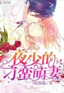 夜少的野蛮前妻小说免费阅读