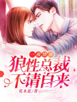 一夜情深,狼性总裁不请自来免费阅读