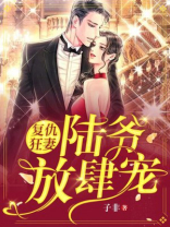 复仇狂妻陆爷放肆宠! 子非
