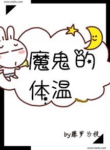 魔鬼的体温小说讲的什么