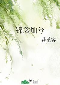锦衾灿兮全文免费阅读