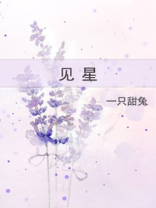 见星小说全文免费阅读笔趣阁