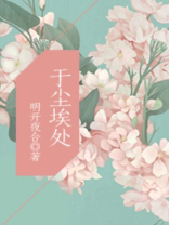 于尘埃处明开夜合全文免费阅读