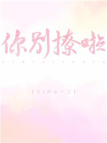 你别撩啦伊水十三 小说