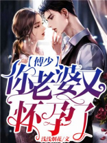 傅少你老婆又怀孕了内容