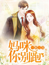 一胎三宝妈咪你别跑 小说