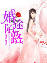 婚途陌路高宏全文免费阅读