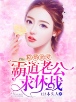 霸道老公,求离婚
