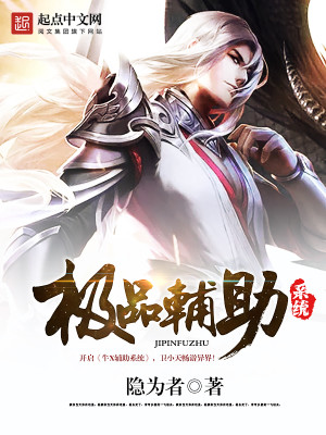 辅助系统小说