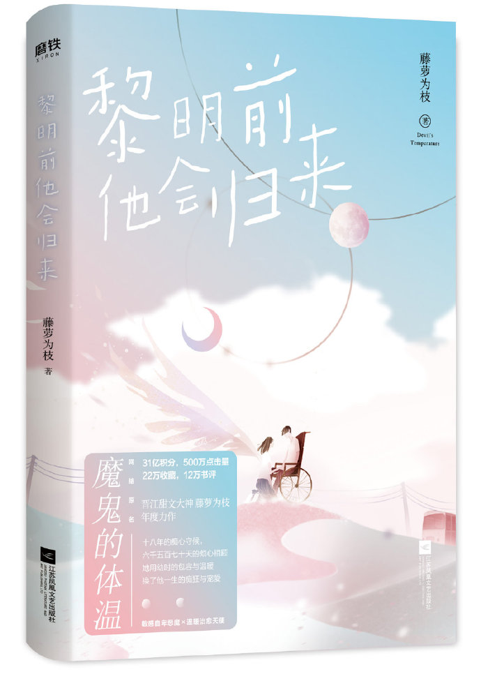 黎明前他会归来简介