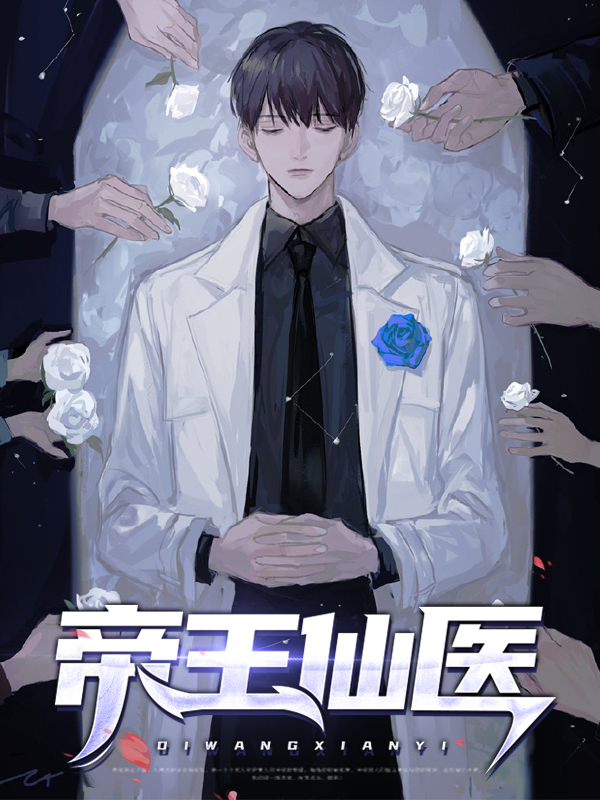 帝王医婿小说