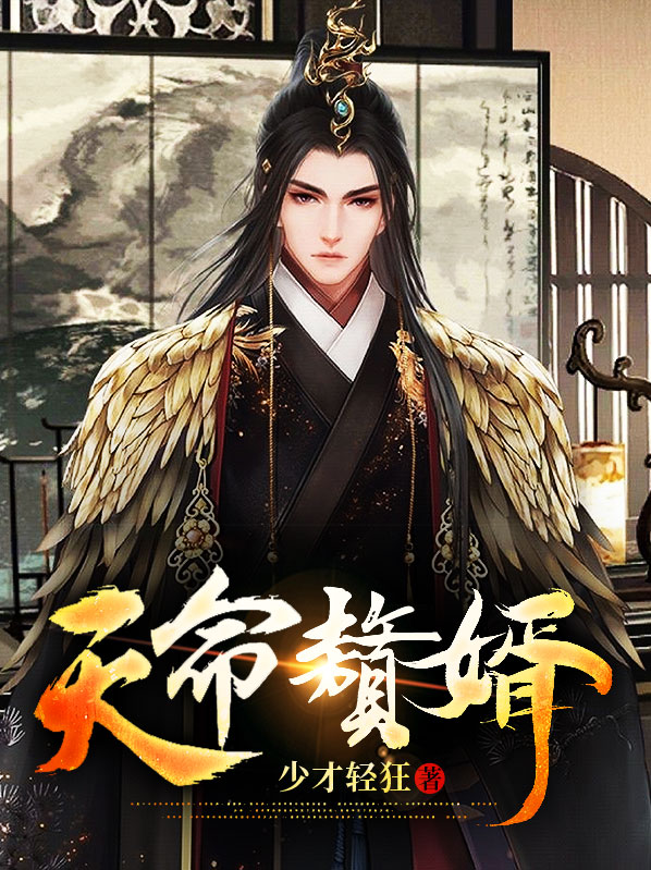 天命赘婿