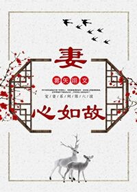 妻心如故好看吗