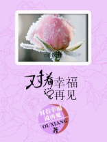 对着幸福说再见歌词