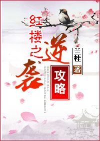 穿越红楼之逆袭攻略