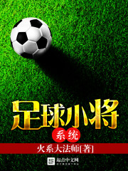 足球小将系统戴志伟
