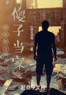 四合院之傻子当家起点