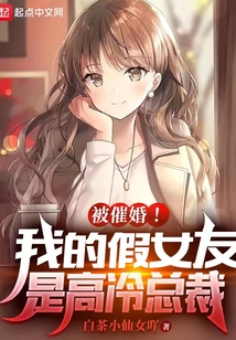 被催婚!我的假女友是高冷总裁TXT小说下载