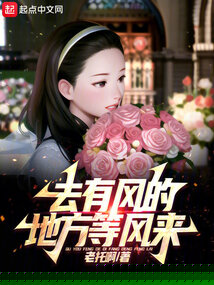 去有风的地方等风来txt
