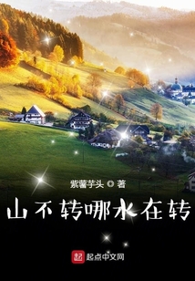 山不转哪水在转求歌名那一年