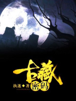 古藏秘码