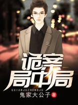 谜案局中局