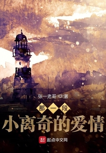 那一段小离奇的爱情是什么歌