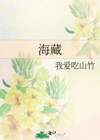 海藏什么意思