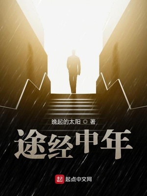 途经中年 晚起的太阳