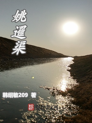 姚暹渠规划图