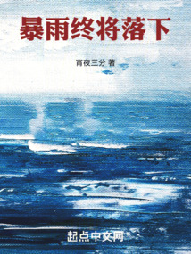 就让暴雨落下歌词