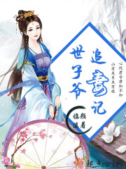 世子爷追妻记小说