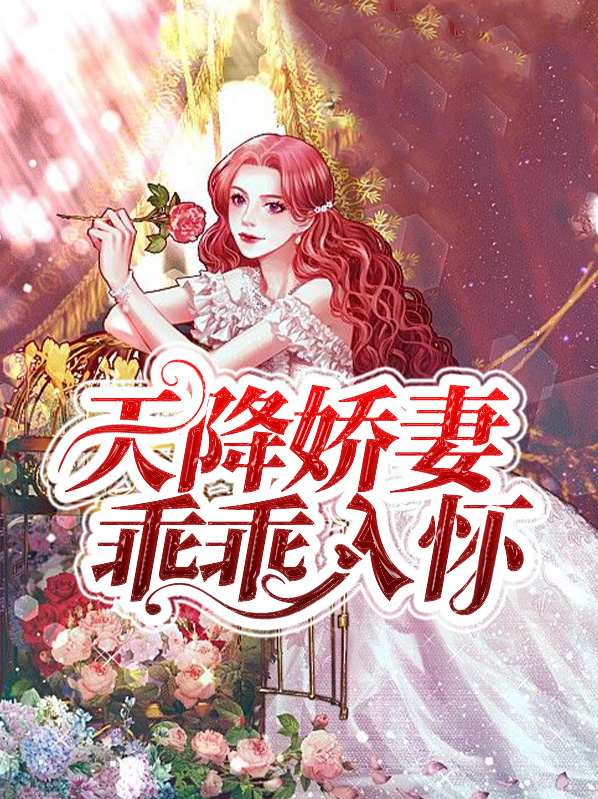 天降娇妻霸道宠小说全文免费下载