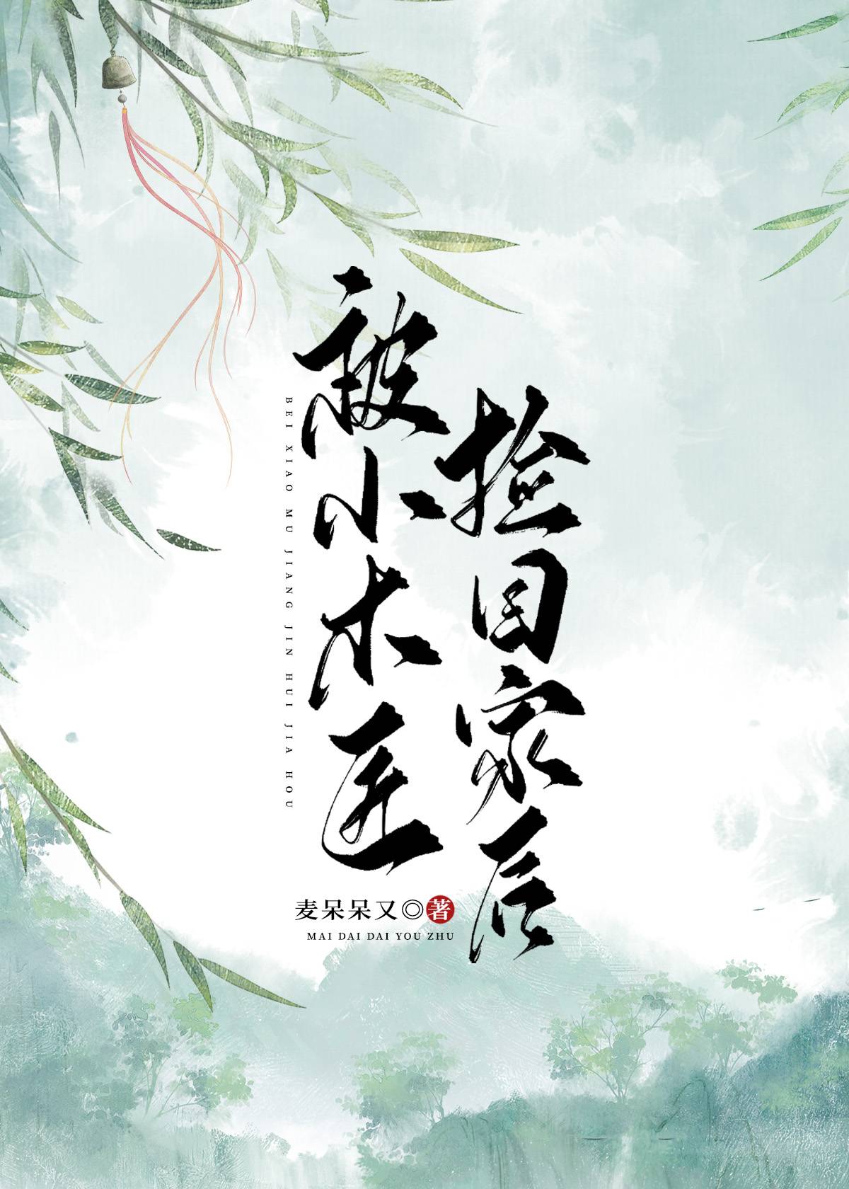 被小木匠捡回家后笔趣阁