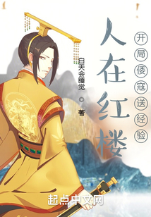 人在红楼,开局倭寇送经验